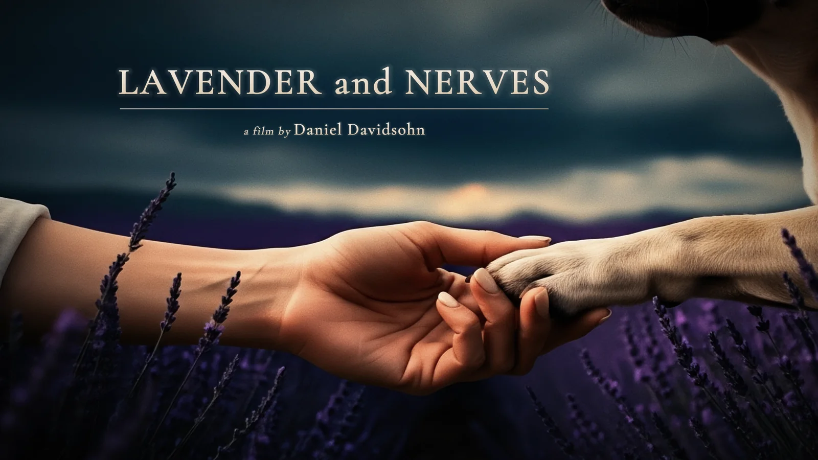 Lavender and Nerves